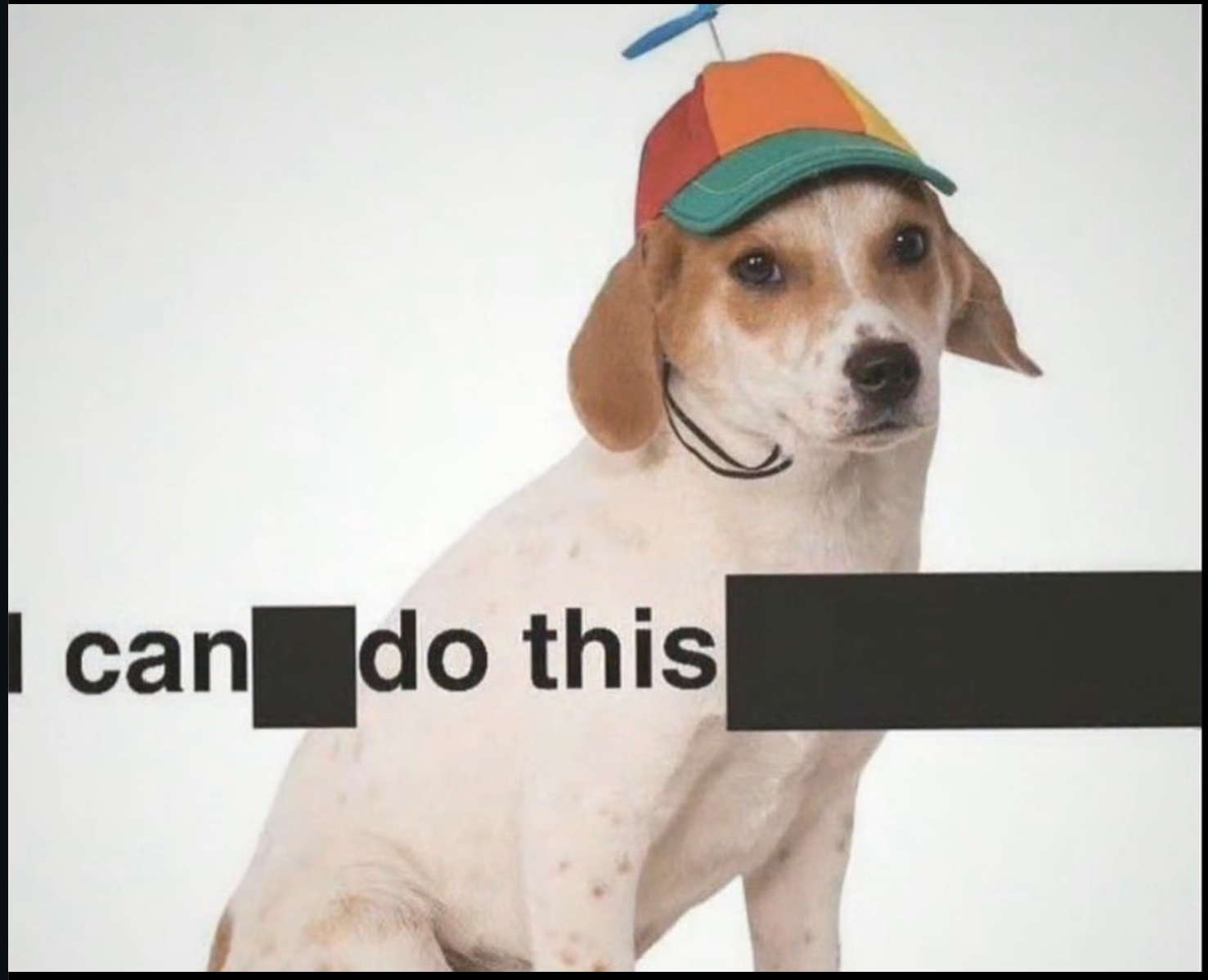 Dog wearing a rainbow propeller cap, with black redaction bars over the text so it reads ‘I can [▮] do this [▮]’.
