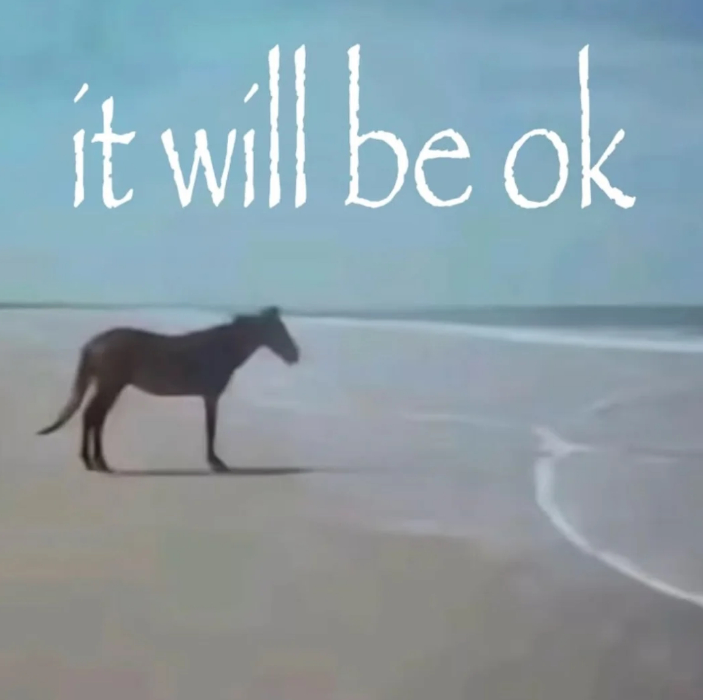 A lone horse standing on an empty beach by the sea, captioned ‘it will be ok’.